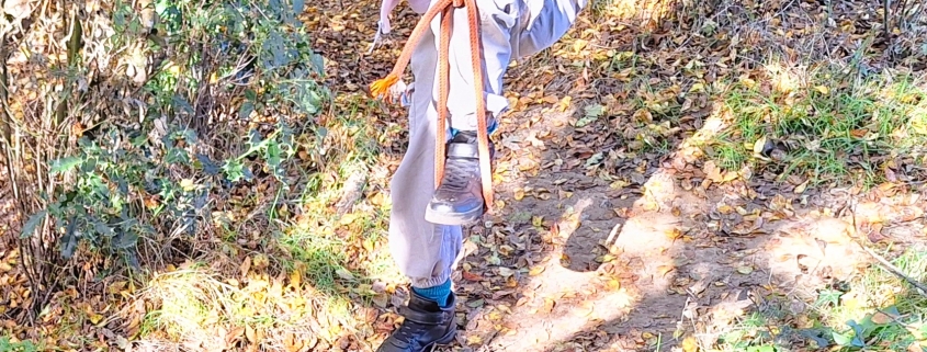 A pupils playing on a rope swing at Forest School
